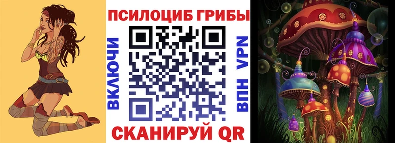Галлюциногенные грибы Psilocybe  продажа наркотиков  Нязепетровск 